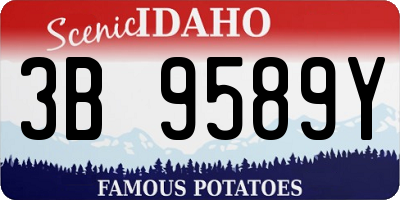 ID license plate 3B9589Y