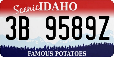ID license plate 3B9589Z