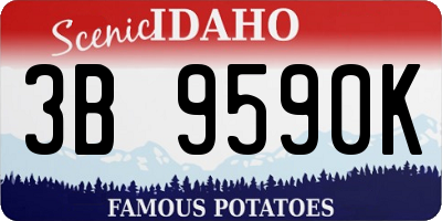 ID license plate 3B9590K