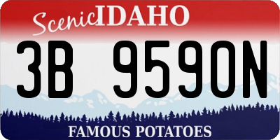 ID license plate 3B9590N