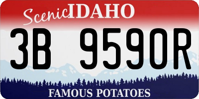 ID license plate 3B9590R