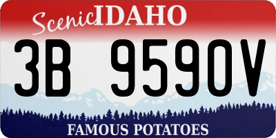 ID license plate 3B9590V