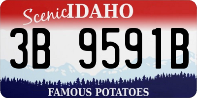 ID license plate 3B9591B