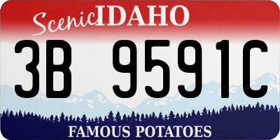 ID license plate 3B9591C