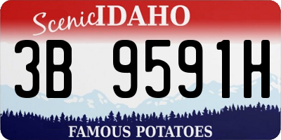 ID license plate 3B9591H