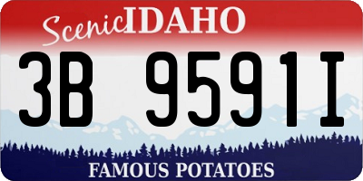 ID license plate 3B9591I