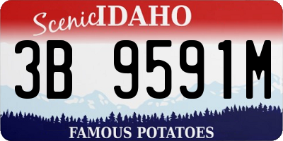 ID license plate 3B9591M