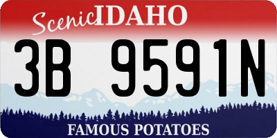 ID license plate 3B9591N