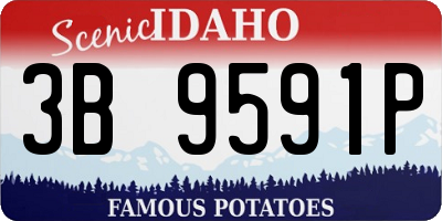 ID license plate 3B9591P