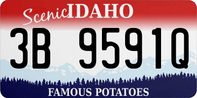 ID license plate 3B9591Q