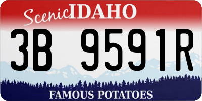 ID license plate 3B9591R