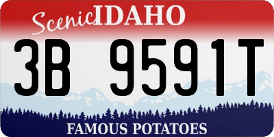 ID license plate 3B9591T