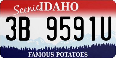 ID license plate 3B9591U