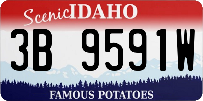 ID license plate 3B9591W