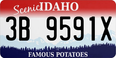 ID license plate 3B9591X