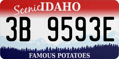 ID license plate 3B9593E