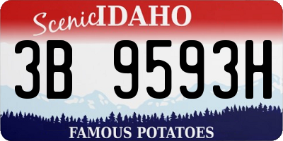 ID license plate 3B9593H