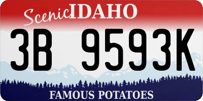 ID license plate 3B9593K