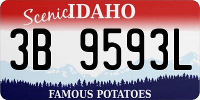 ID license plate 3B9593L