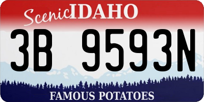 ID license plate 3B9593N