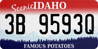 ID license plate 3B9593Q