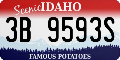 ID license plate 3B9593S