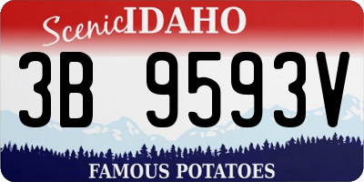 ID license plate 3B9593V
