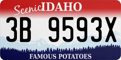 ID license plate 3B9593X