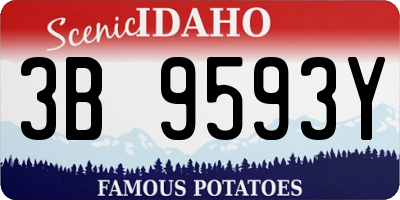 ID license plate 3B9593Y