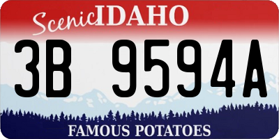ID license plate 3B9594A