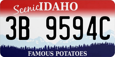 ID license plate 3B9594C