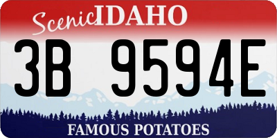 ID license plate 3B9594E