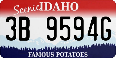 ID license plate 3B9594G