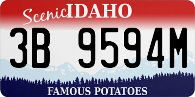 ID license plate 3B9594M