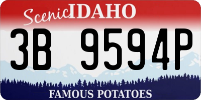 ID license plate 3B9594P