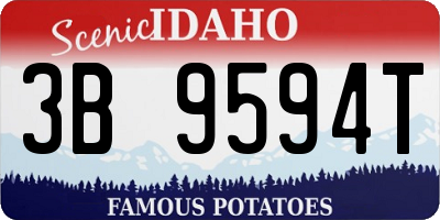 ID license plate 3B9594T