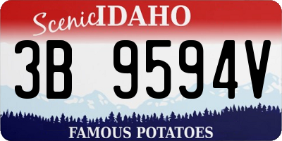 ID license plate 3B9594V
