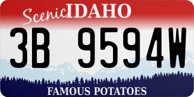 ID license plate 3B9594W