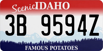 ID license plate 3B9594Z