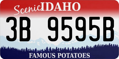 ID license plate 3B9595B