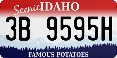 ID license plate 3B9595H
