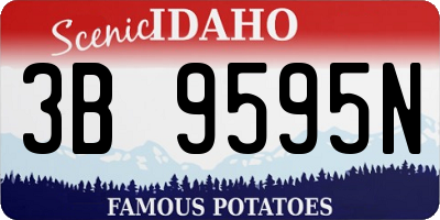 ID license plate 3B9595N