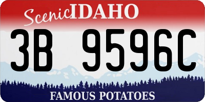 ID license plate 3B9596C