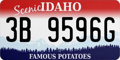 ID license plate 3B9596G