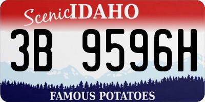 ID license plate 3B9596H