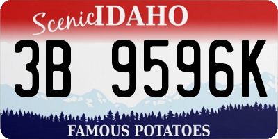 ID license plate 3B9596K