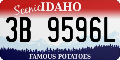 ID license plate 3B9596L