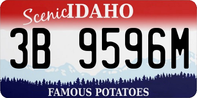ID license plate 3B9596M