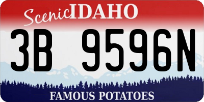 ID license plate 3B9596N