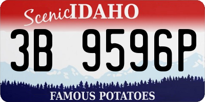 ID license plate 3B9596P